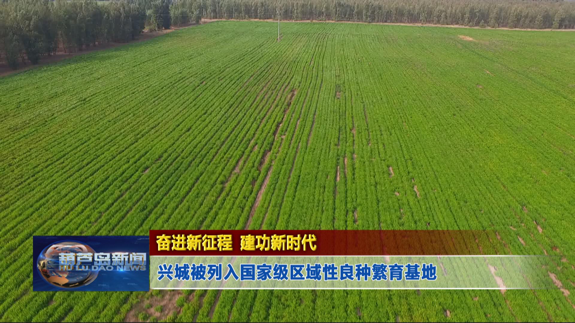 奮進新征程 建功新時代——興城被列入國家級區(qū)域性良種繁育基地