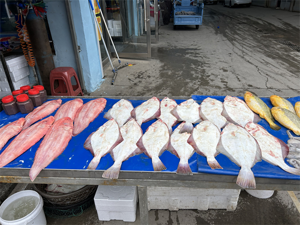（待審核）面朝大海，丹東經(jīng)濟(jì)破浪前行_fororder_遼寧行-張桐1