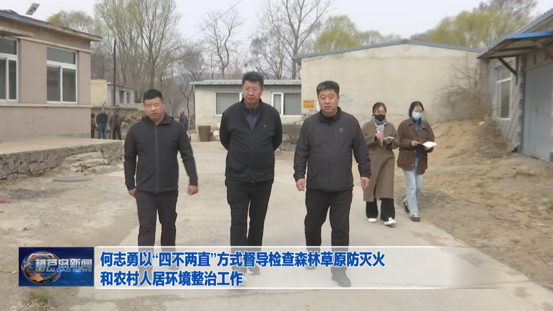 何志勇以“四不兩直”方式督導(dǎo)檢查森林草原防滅火和農(nóng)村人居環(huán)境整治工作