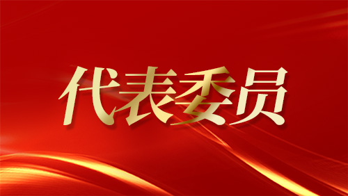 代表委員這一天丨 “村姑書記”上兩會 進京尋找致富經