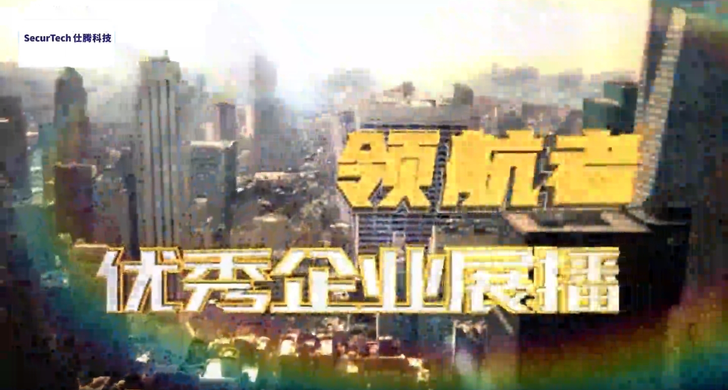 沈陽仕騰科技有限公司